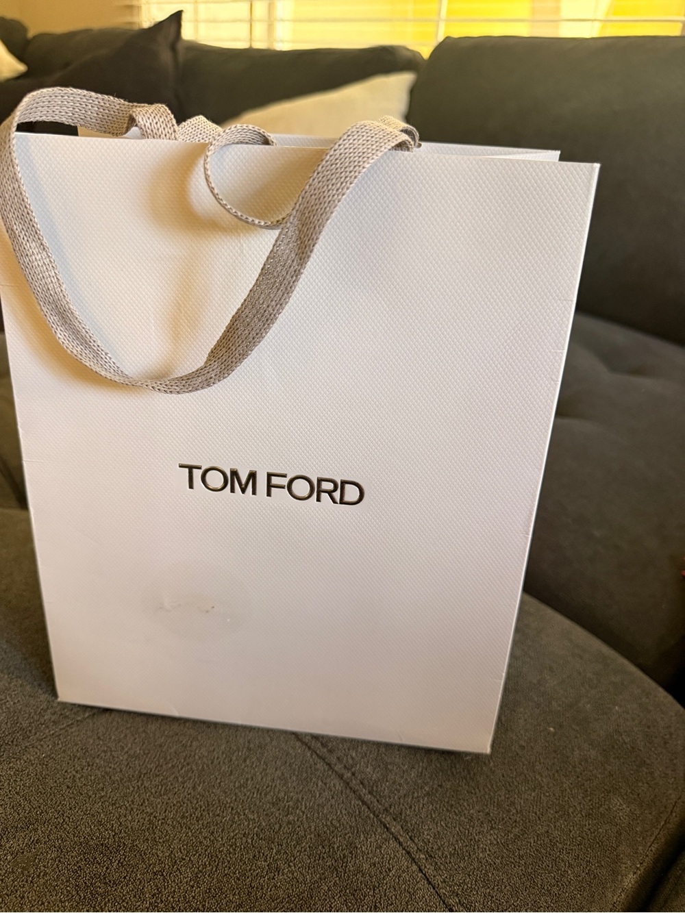Tom Ford Grey Textured Paper Retail Gift Bag with Woven Handles (Medium)